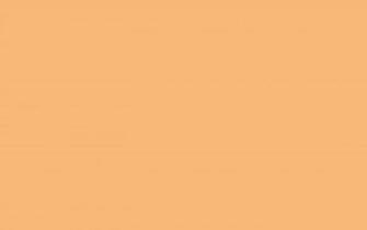 Mellow Apricot Solid Color Background