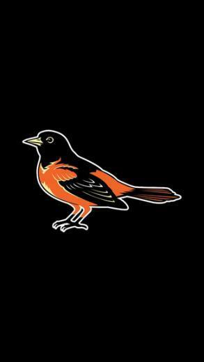 Baseball Baltimore Orioles iPhone 5c 5s Wallpaper