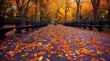 Cute Fall Desktop Wallpaper Net
