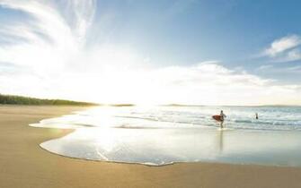 HD Surf Beach Wallpaper Net