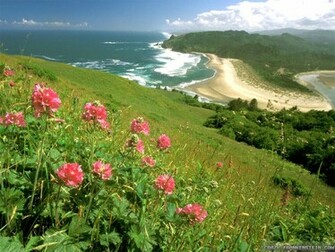 Natural Beautiful Summer Wallpaper IwallHD HD