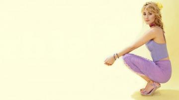 American Beauty Bree Turner HD Wallpaper Wallpaperpick
