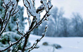 HD Wallpaper Frozen