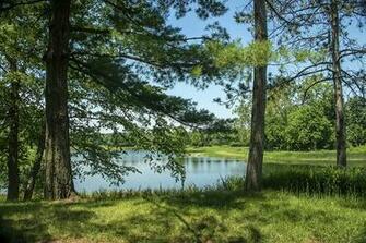 Picture Usa Morton Arboretum Northern Illinois Nature Summer Lake