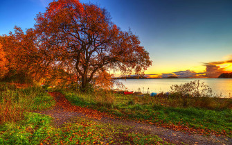 4k Autumn Wallpaper