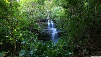 Tropical Waterfall HD Wallpaper Collection Best Pakistani Fun