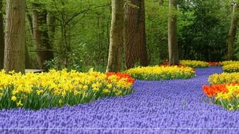 Santabanta Wallpaper Nature Image