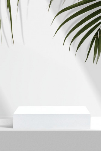 Image Of Aesthetic Product Backdrop Palm Leaves By