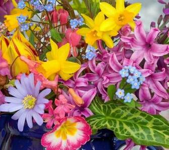 Flowers For Flower Lovers Beautiful Desktop Wallpaper