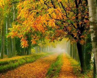 Nature Wallpaper HD