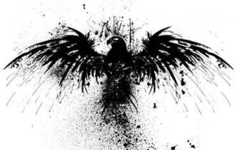 Black White Wallpaper Birds Original Germany