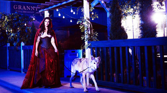Eternity Of Love Image Ouat HD Wallpaper And Background Photos