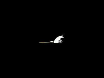 Funny Horses Poop Wallpaper Allwallpaper In Pc En