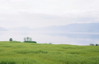 Be Still Wallpaper
