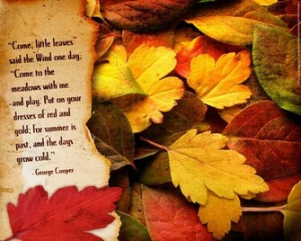 Thanksgiving Wallpaper