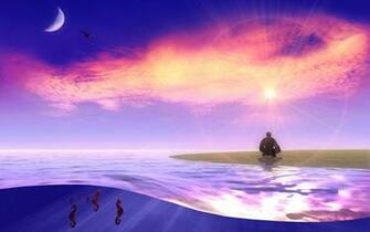 Lee Style Taoist Arts Seahorse Wallpaper