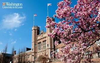 Washington University In St Louis Wallpaper