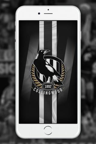 Collingwood Wallpaper Afl Football Club