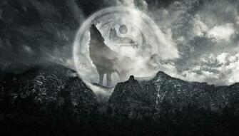 Wolf Computer Wallpaper Desktop Background Id