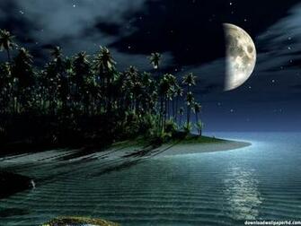 Midnight Beach Exclusive HD Wallpaper