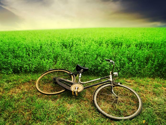 Bicycle Wallpaper Cheney S Torture Legacy Won T Go Away