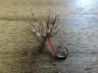 Tenkara Enso Avril