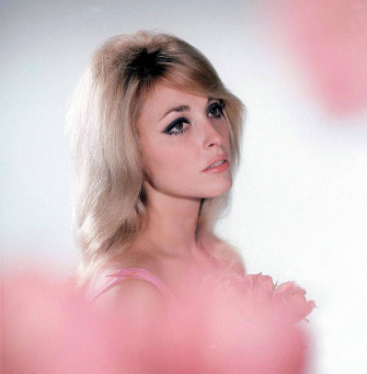 Pap Is De Parede Sharon Tate Wallpaper