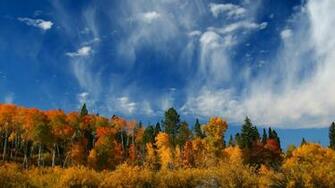 Abstract Fall Wallpaper X HD Background