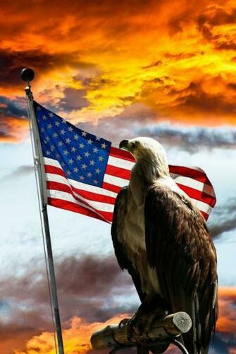 For iPhone Designs Wallpaper American Flag