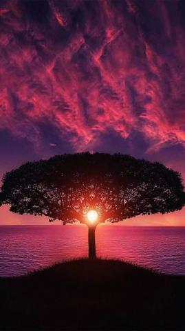 Beautiful Sunset iPhone Wallpaper