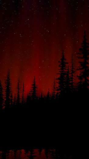 Dark Forest Wallpaper Id