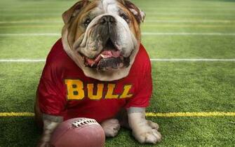 Georgia Bulldogs HD Wallpaper Hintergr Nde