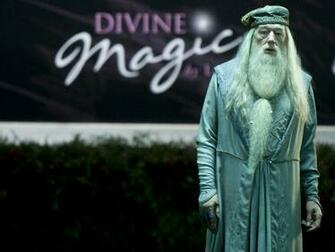 Hogwarts Professors Image Albus Dumbledore Wallpaper HD