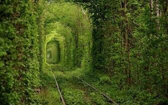 Tunnel Of Love Found In Klevan Ukraine IwallHD Wallpaper