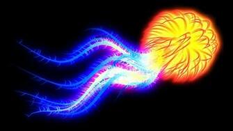 Jellyfish Color Black Background Psychedelic Wallpaper