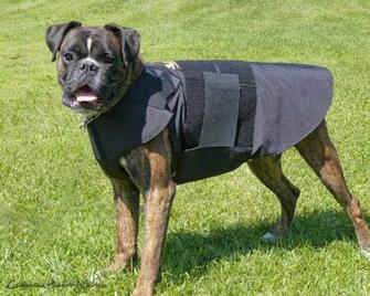 K9