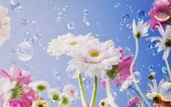 Bright Flower Wallpaper In High Resolution For Get