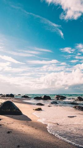 Sunny Day Coast Beach Sea Tropical Wallpaper Scenery