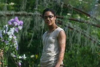 The Original Ending Of Annihilation Sounds Better