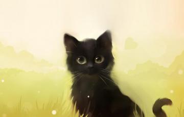 Wallpaper Cat Grass Kitty Black Art Apofiss Image For