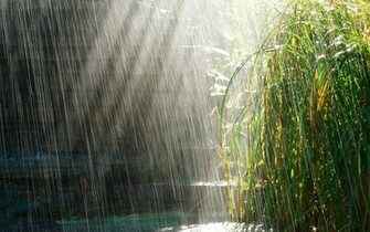Rain Wallpaper And Image Pictures Photos