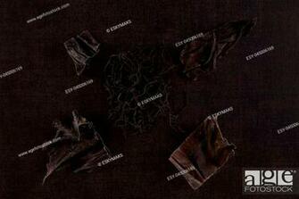 Traditional Chinese Medicine Seaweed And Dan Shen On Black