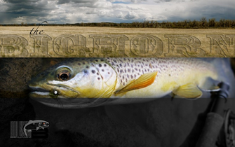 Steelhead Alley Outfitters Lake Erie Fly Fishing Guide Service