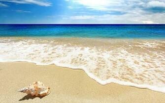 Summer Wallpaper Image