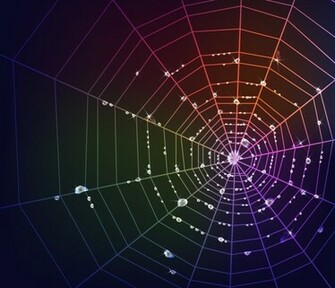 Spider Web Vector