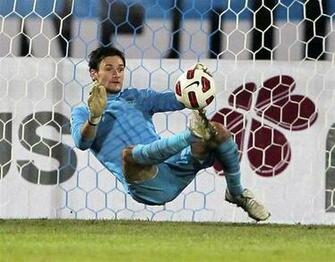 Hugo Lloris Image Albania France