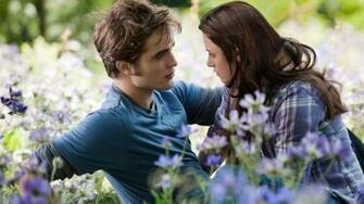Twilight HD Wallpaper On