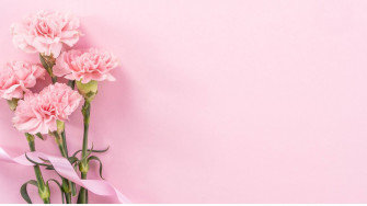 Baby Pink Wallpaper