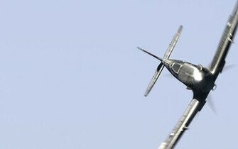 Supermarine Spitfire Wallpaper Animals HD Hi Res
