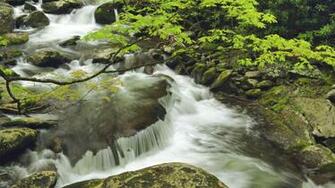Great Smoky Mountains Wallpaper